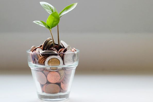 有棵樹近億仲裁案：“白衣騎士”縱騰集團討債背后的資本迷局