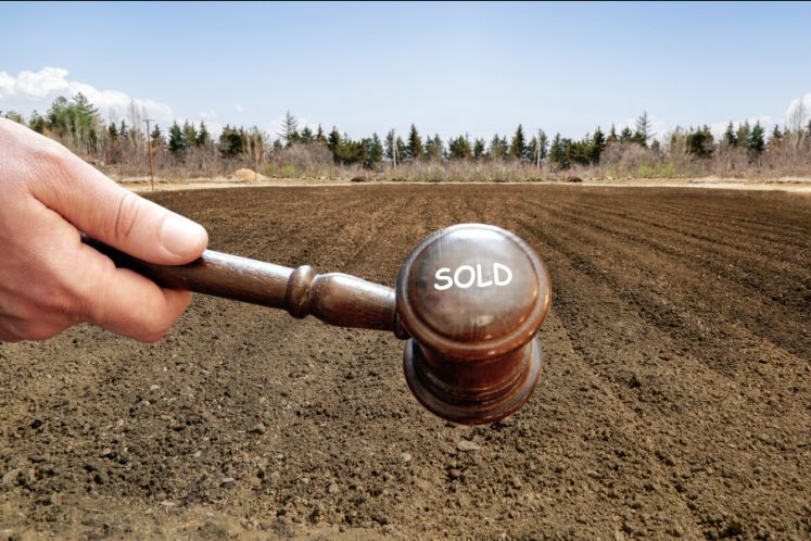 為什么大家都搶著買“法拍房”？