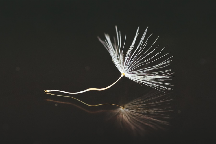 德邦股份主動退市：另一種重生