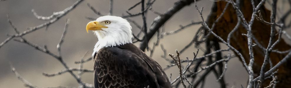 2020年催收怎么做？